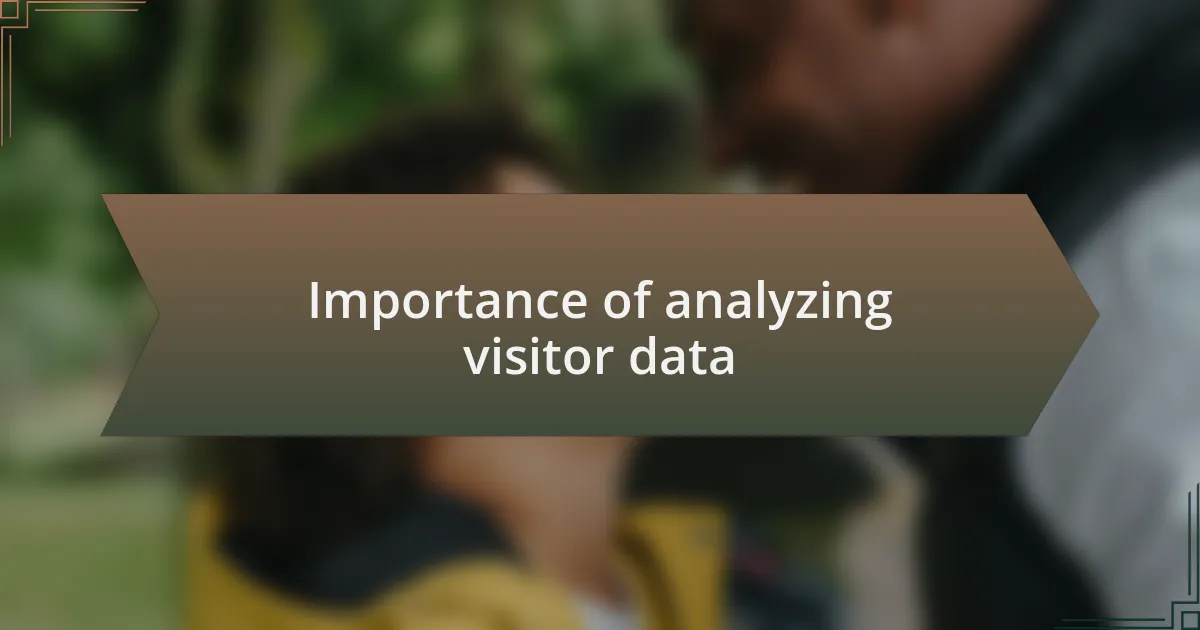 Importance of analyzing visitor data