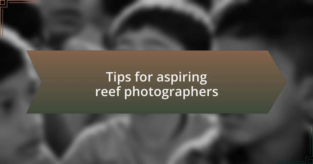 Tips for aspiring reef photographers