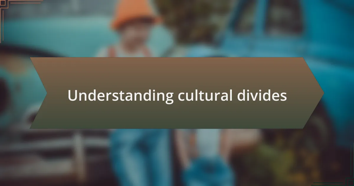 Understanding cultural divides